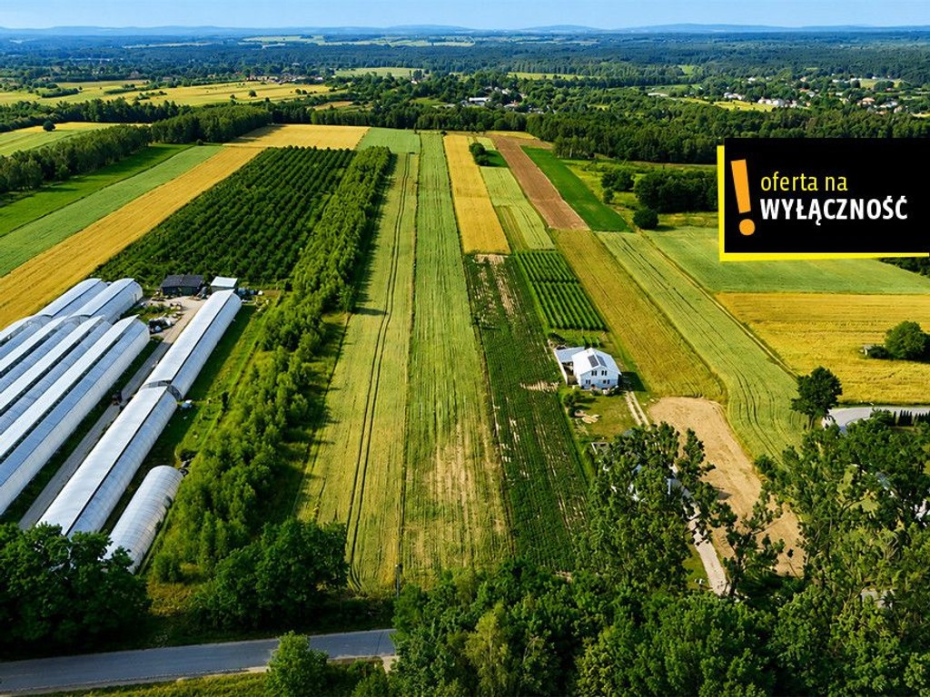 OKAZJA! Działka 13 900 m² - 7,12 zł/m2 . Niemścice, Staszów