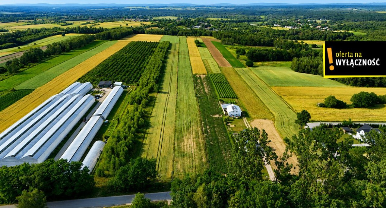 OKAZJA! Działka 13 900 m² - 7,12 zł/m2 . Niemścice - Widok 3
