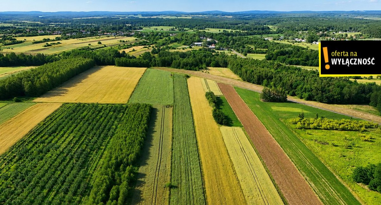 OKAZJA! Działka 13 900 m² - 7,12 zł/m2 . Niemścice - Widok 4