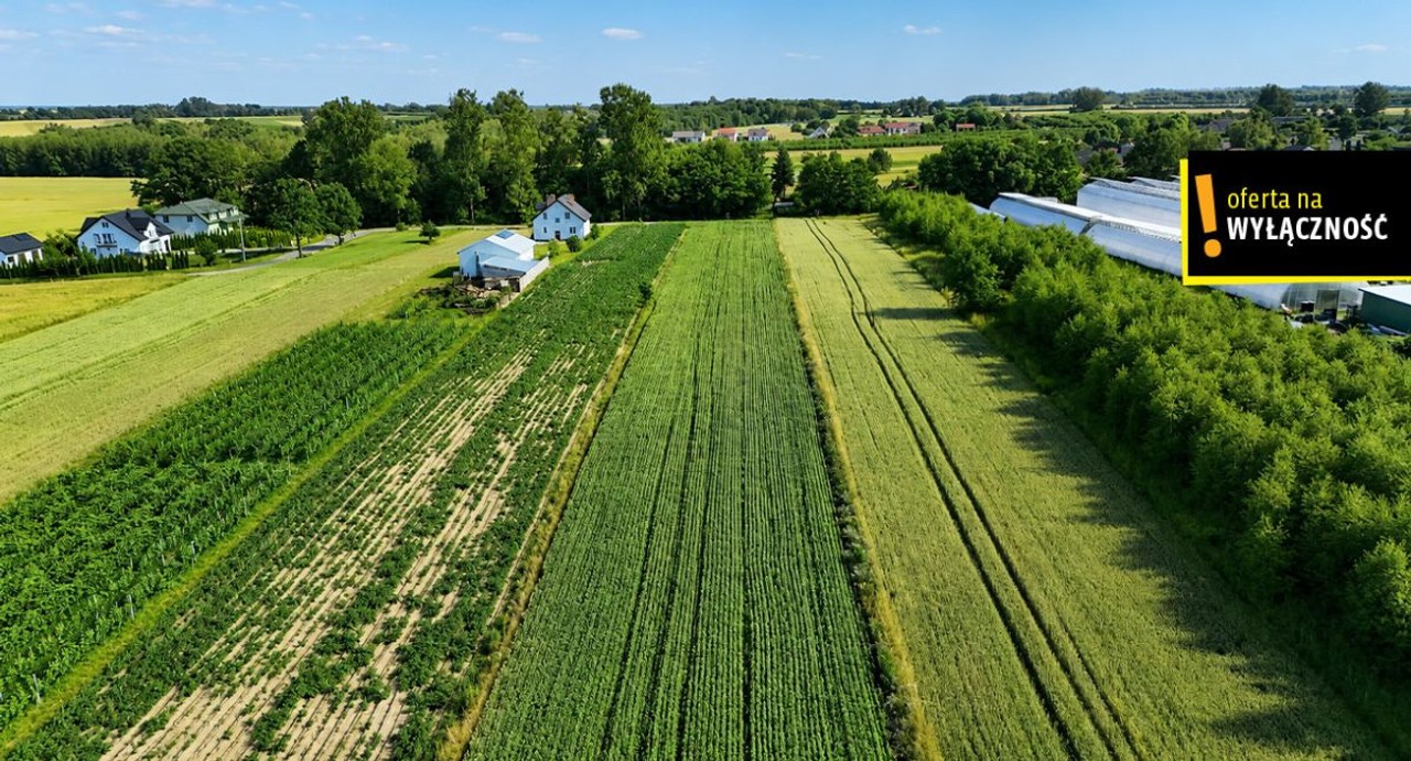 OKAZJA! Działka 13 900 m² - 7,12 zł/m2 . Niemścice - Widok 5