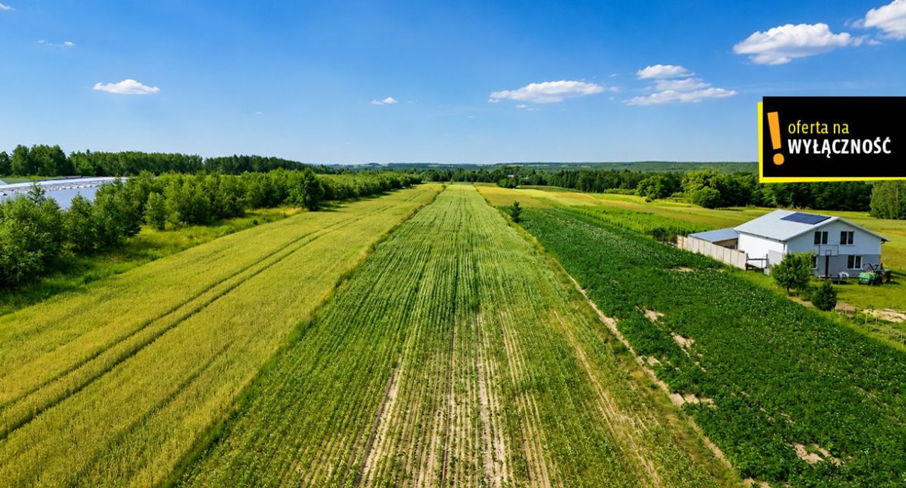 OKAZJA! Działka 13 900 m² - 7,12 zł/m2 . Niemścice - Widok 6