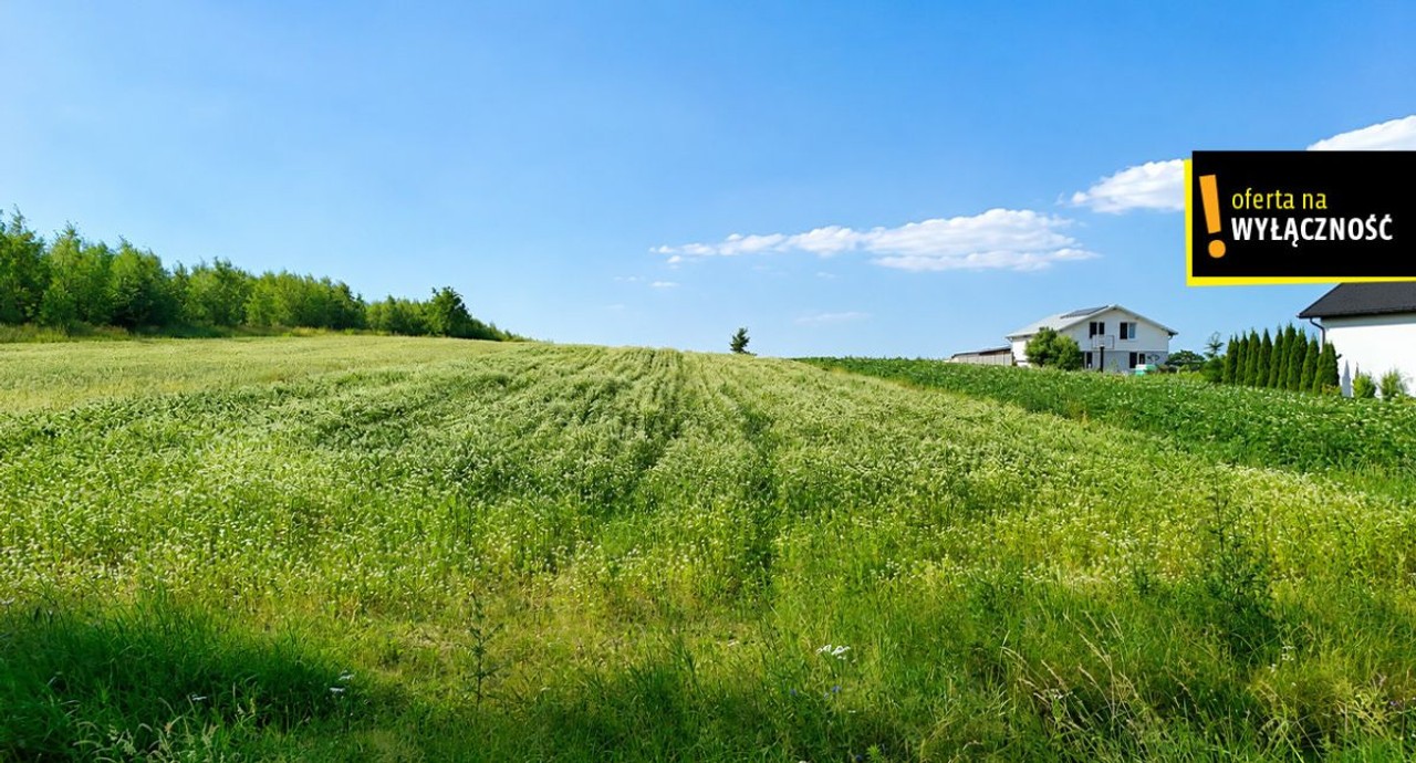 OKAZJA! Działka 13 900 m² - 7,12 zł/m2 . Niemścice - Więcej