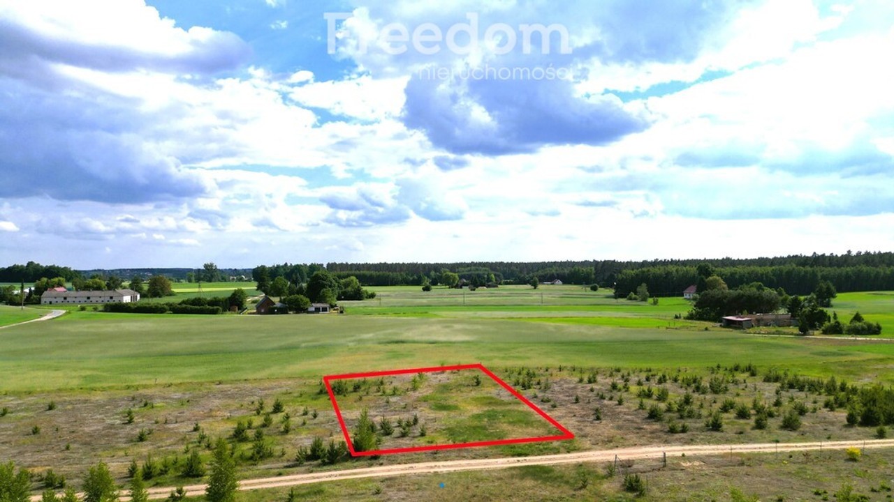 Działka budowlana - Skarlin, Nowe Miasto Lubawskie - View 2