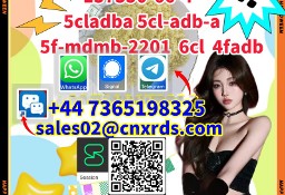 Global Delivery137350-66-4  5cladba 5cl-adb-a 5f-mdmb-2201  6cl  4fadb
