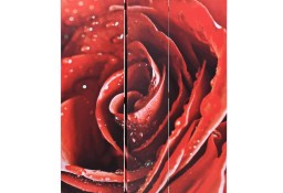 vidaXL Składany parawan, 120x170 cm, czerwona róża245893