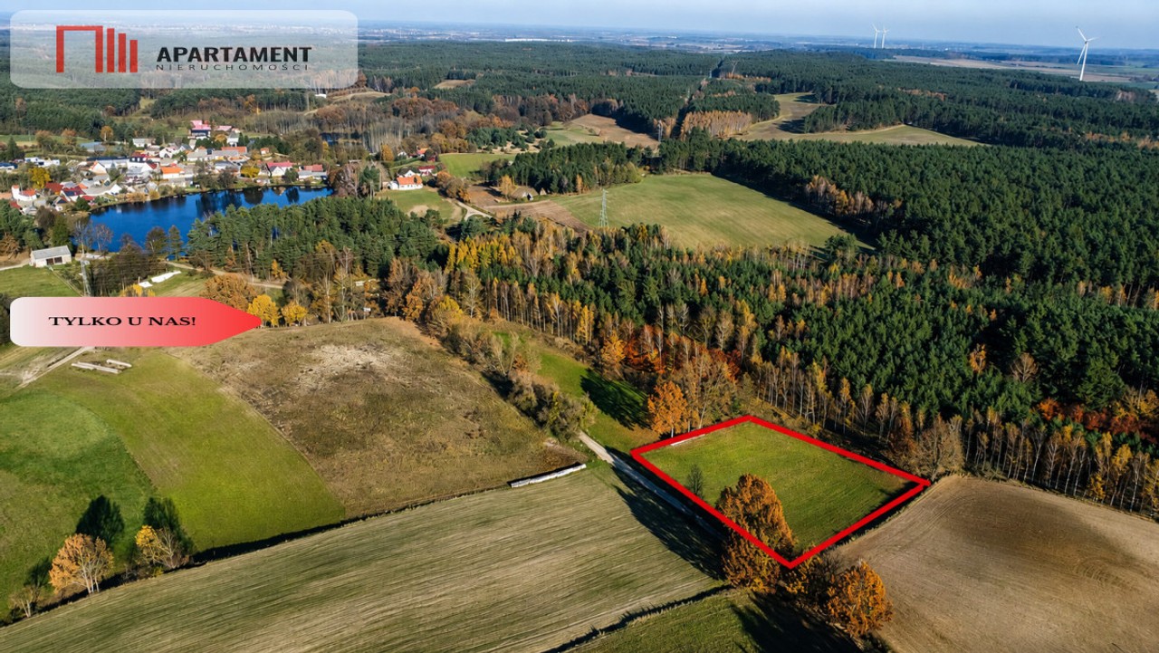 Spokój, natura, jeziora–działka zagrodowa Dormowo - Widok 2