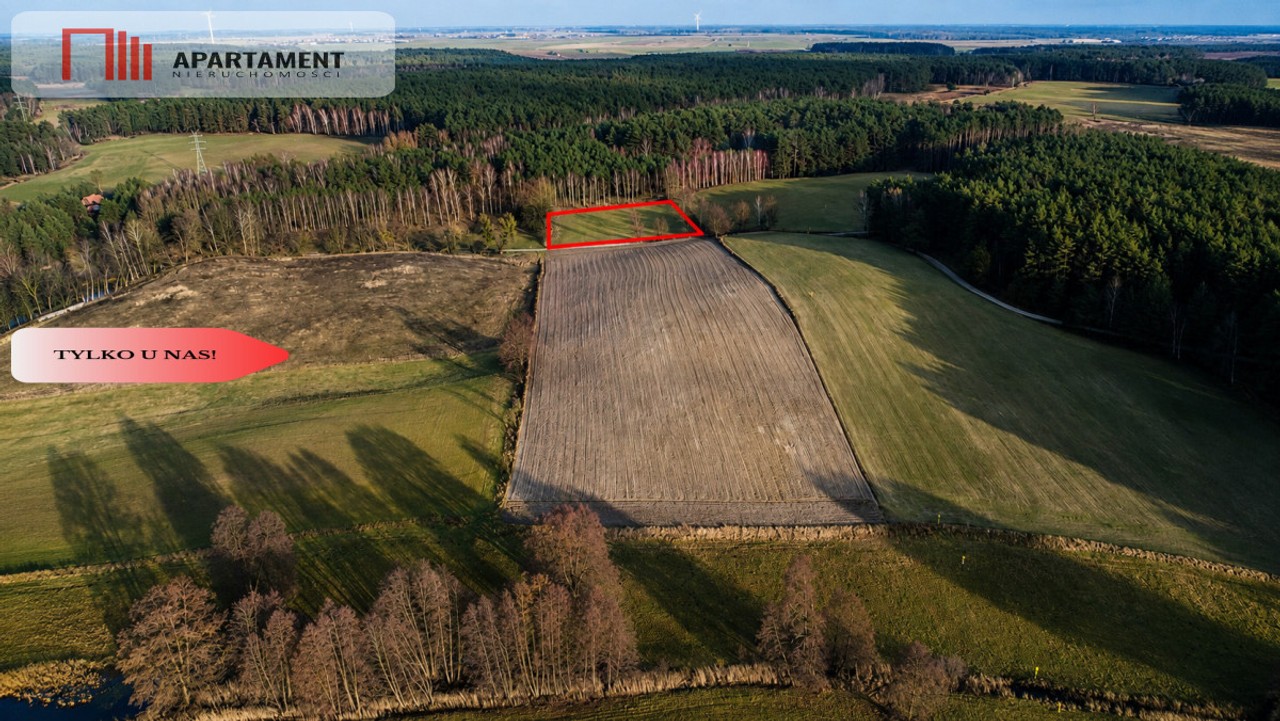 Spokój, natura, jeziora–działka zagrodowa Dormowo - Widok 4