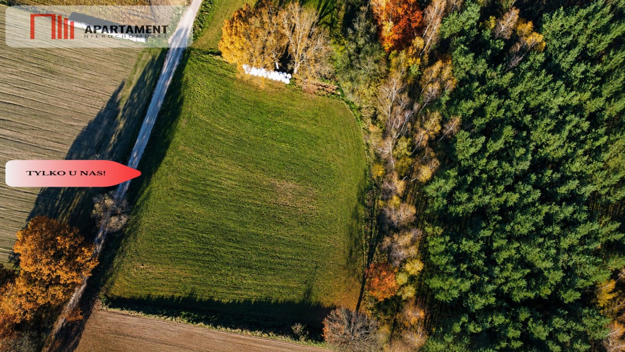 Spokój, natura, jeziora–działka zagrodowa Dormowo - Widok 6