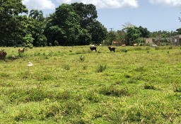 Działka inna María Trinidad Sánchez , Nagua