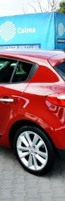 Renault Megane III-3