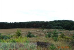 Działka rolna Czernikowo