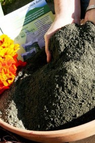 Mączka Bazaltowa, ekologiczny środek poprawiający jakość gleby. 30 zł 25kg-2