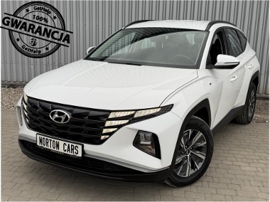 Pierwszy właściciel -1