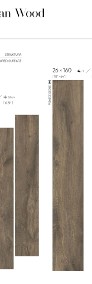 Stopnica na schody drewnopodobna 120x30 płytki podłogowe Guardian walnut CERRAD-3