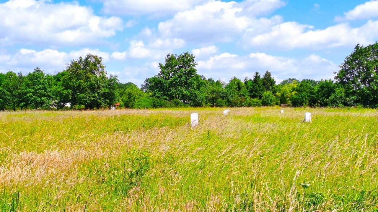 Jarnołtów – Twoje miejsce na dom blisko natury – pohled 5