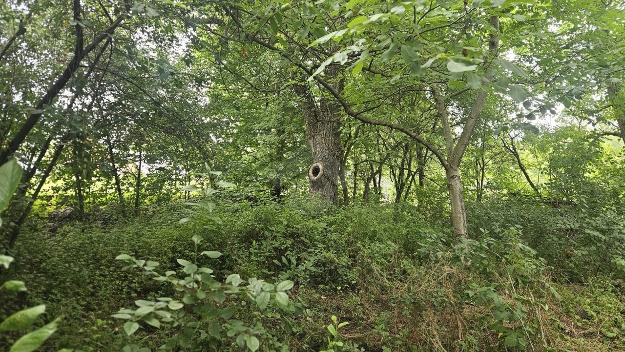 Działka budowlana w spokojnej okolicy - Widok 3
