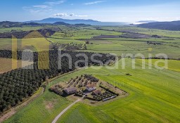 Dom Magliano In Toscana