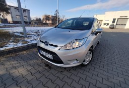 Ford Fiesta VII Zarejestrowane