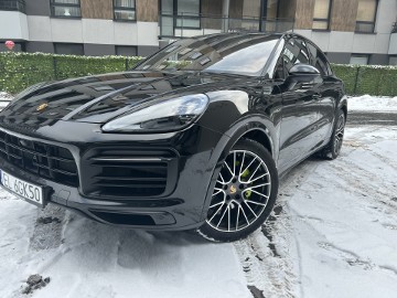 Platinium Edition Serwisowane w ASO, Zielone zaciski