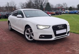 Audi A5 I (8T) LED