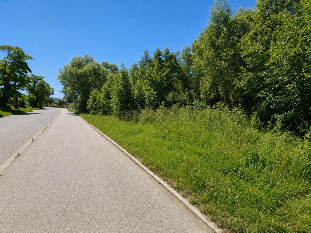 Raciborowice | 29 arów | MPZP | MŁYŃSKA - Widok 4
