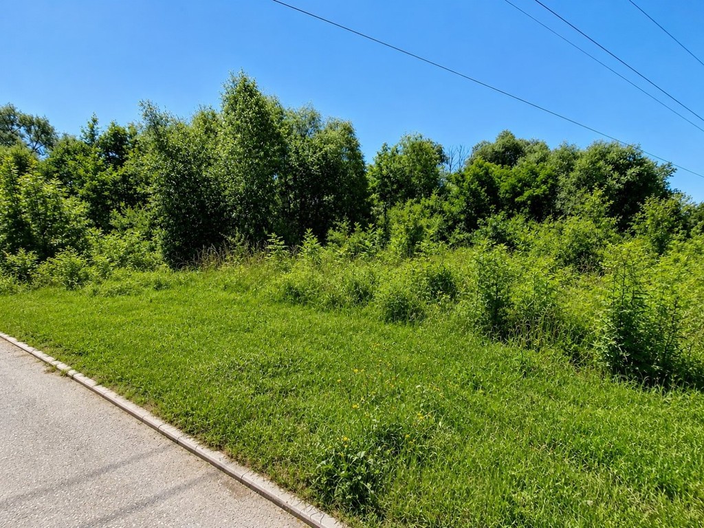 Raciborowice | 29 arów | MPZP | MŁYŃSKA - Widok 5