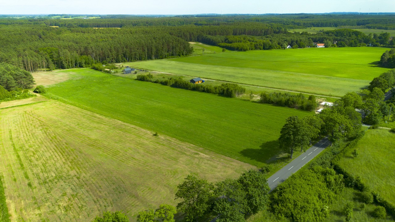 Działki blisko lasu - 10 min od Pobierowa - Widok 4