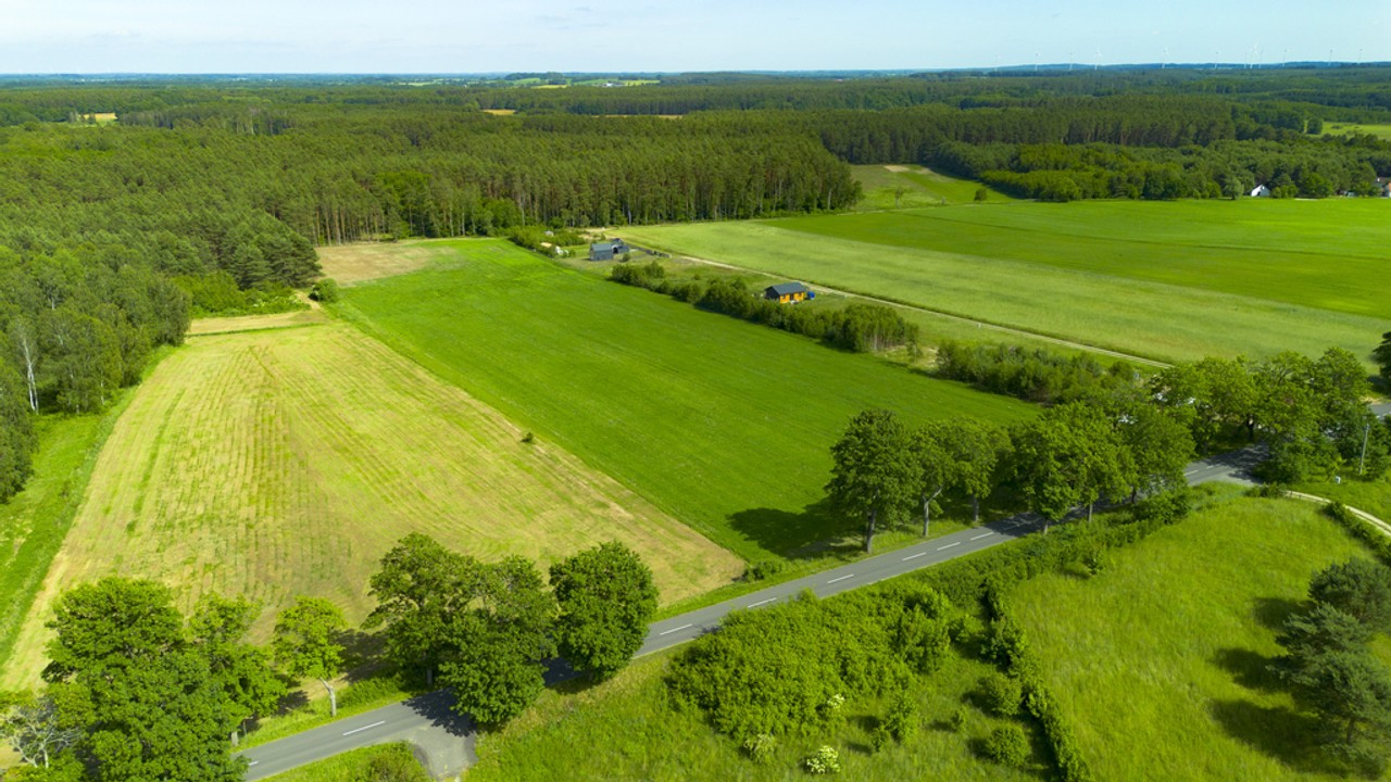 Działki blisko lasu - 10 min od Pobierowa - Widok 5