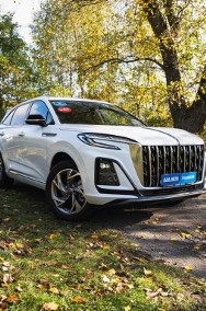 , Salon Polska, 1. Właściciel, Serwis ASO, Automat, VAT 23%,-2