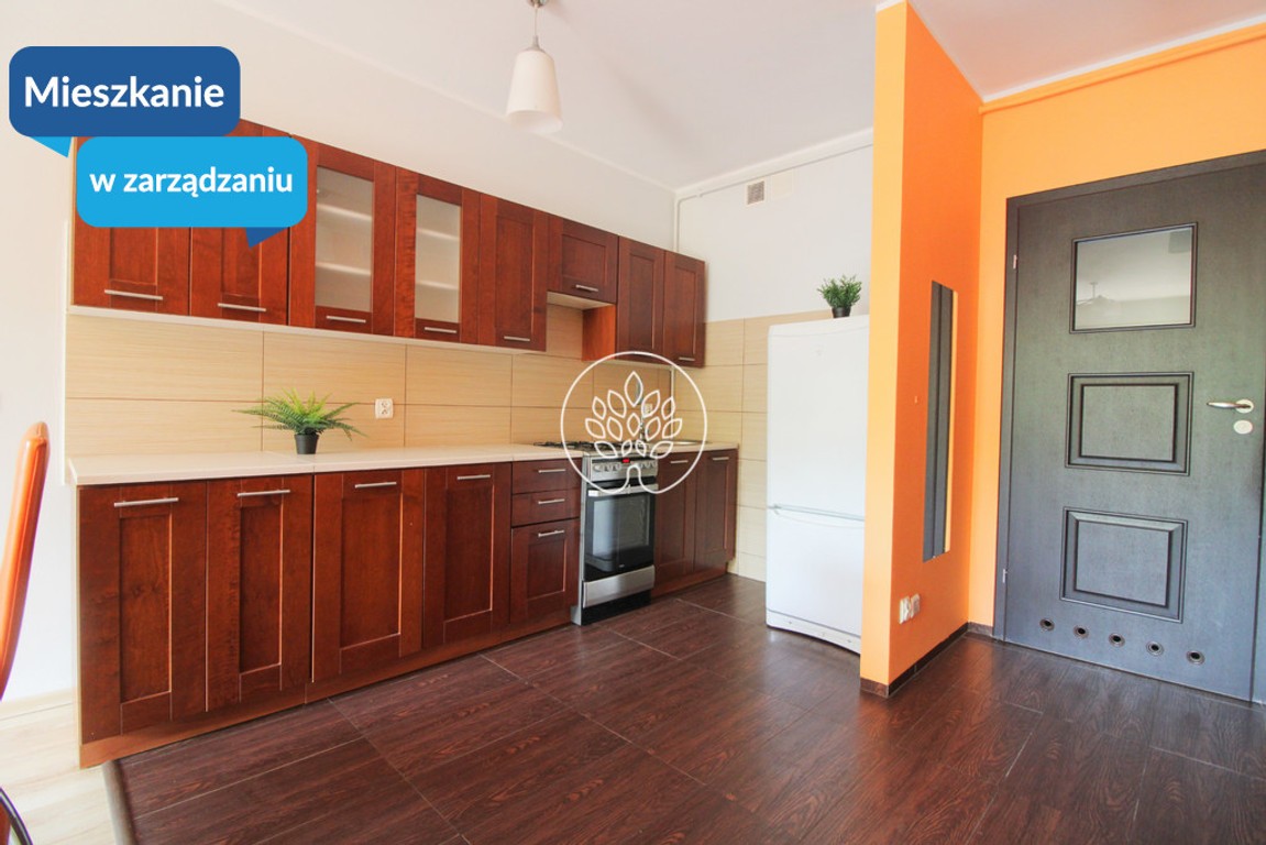 Mieszkanie do wynajęcia, 48 m² Wyżyny, Bohaterów Kragujewca