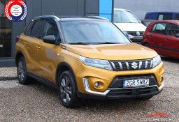 Suzuki Vitara II