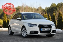 Audi A3 II (8P) 1.6TDI(90KM)*Bi-Xenon*Led*Półskóry*Parktronik*Grzane Fotele*Alu16"AS