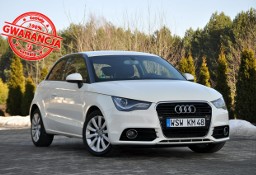 Audi A3 II (8P) 1.6TDI(90KM)*Bi-Xenon*Led*Półskóry*Parktronik*Grzane Fotele*Alu16"AS