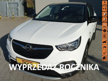 Opel Grandland X 130KM,Samochód w bogatej wersji z przebiegiem 42900 km.-1