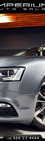 Audi A5 II 2.0 TDi TFSI 170 KM NAVI Bezwypadkowy Serwis NOWY ROZRZĄD-4
