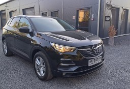 Opel Grandland X Nawigacja Świeżo zarejestrowany