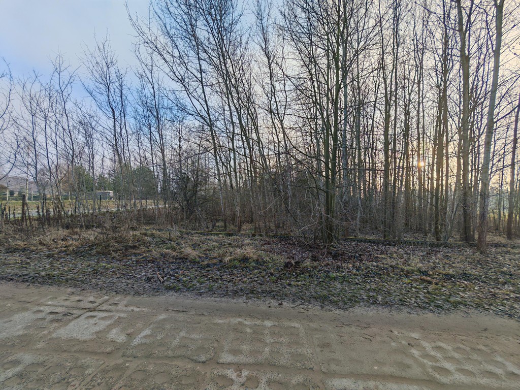 Działka na sprzedaż, 1317 m², Czosnów Augustówek - Widok 3