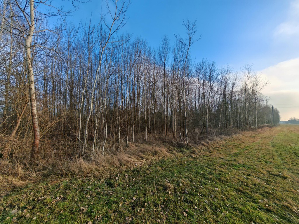 Działka na sprzedaż, 1317 m², Czosnów Augustówek - Widok 4