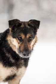 LEO dużo miłości w sobie ma, a czy jemu ktoś miłość da?-2