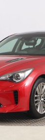 Kia Stinger Salon Polska, Serwis ASO, Automat, Skóra, Navi, Klimatronic,-3