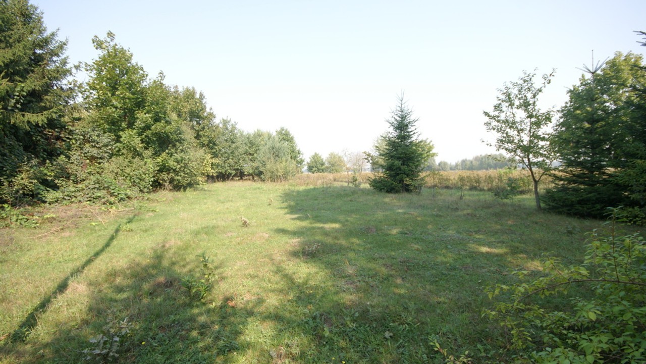 Działka 16 ar w miejsc. Gołąb pow. Lubartowski, lubartowski
