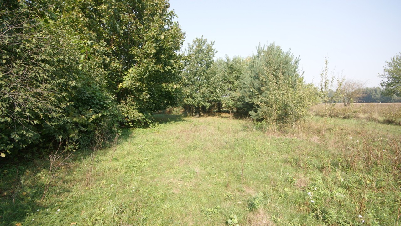Działka 16 ar w miejsc. Gołąb pow. Lubartowski - Widok 2
