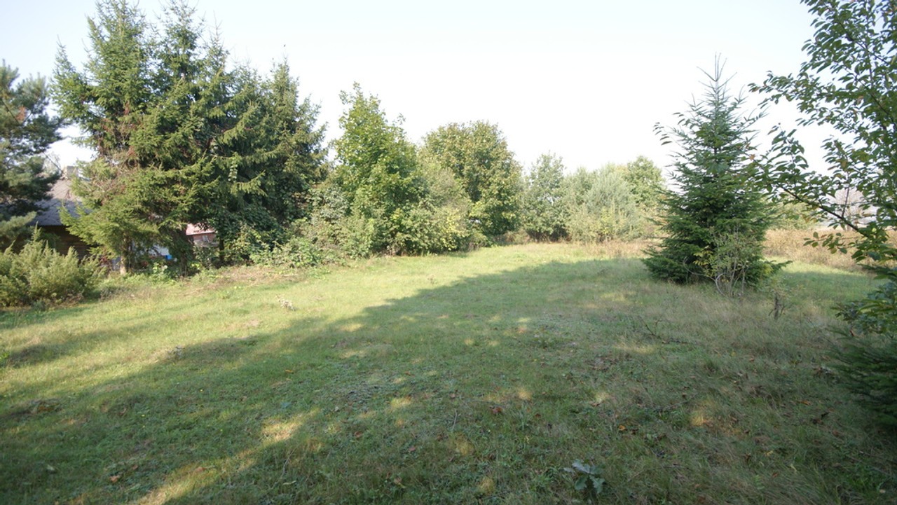 Działka 16 ar w miejsc. Gołąb pow. Lubartowski - Widok 3
