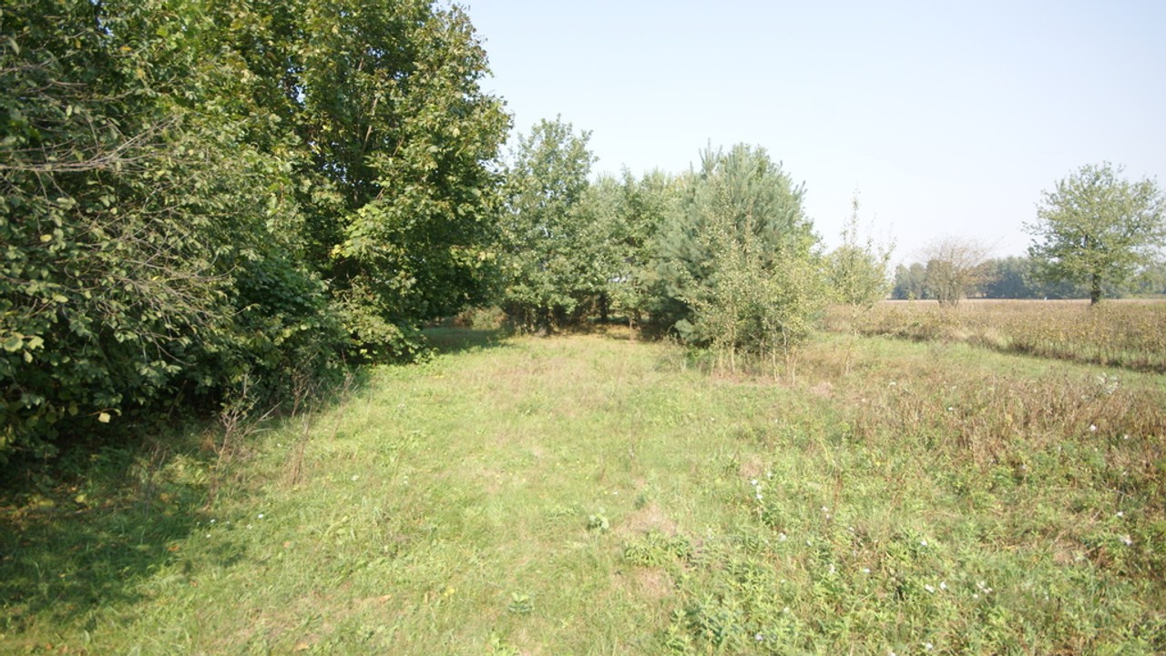 Działka 16 ar w miejsc. Gołąb pow. Lubartowski - Widok 5