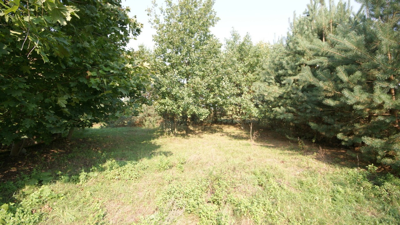Działka 16 ar w miejsc. Gołąb pow. Lubartowski - Widok 6