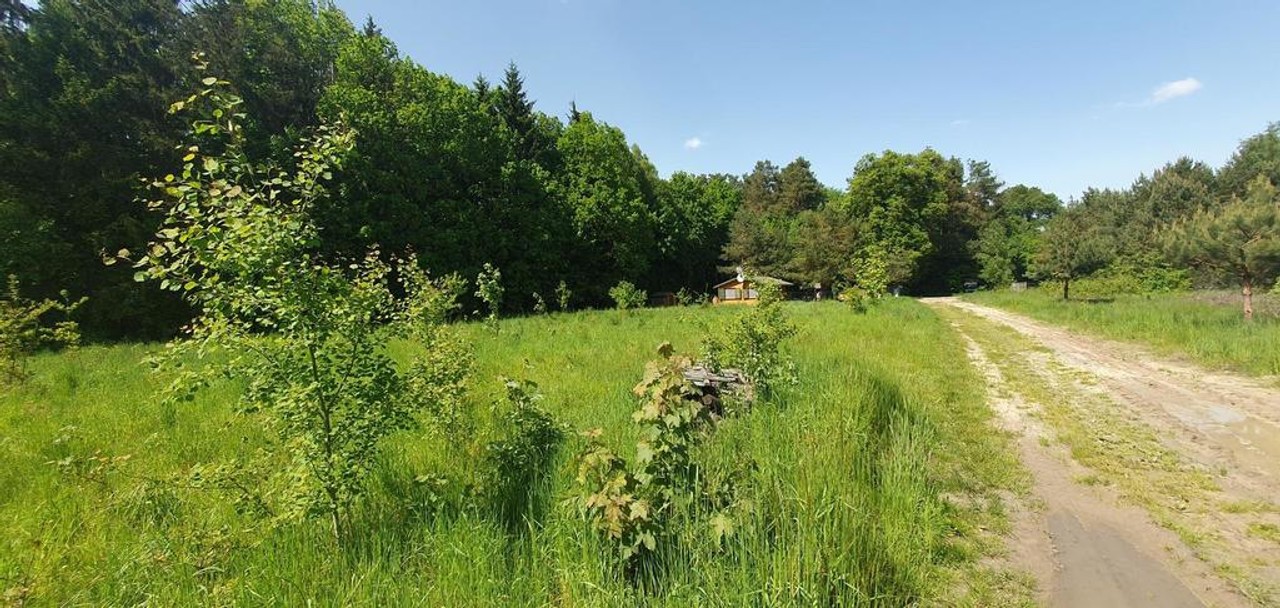 Działka,Wytyczno,Jezioro Wytyckie 45 arów budowlana - Widok 2