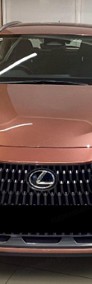 Lexus NX NX 14- 350h Elegance 2.5 Hybrid 350h Elegance 2.5 Hybrid 200KM | Podgrzewane-3