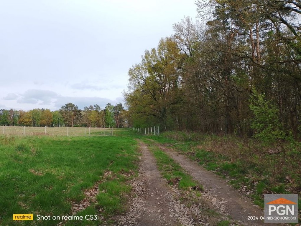 Przyrodniczy Raj: Działka 4490 m² w Malowniczej Oko – pohled 5