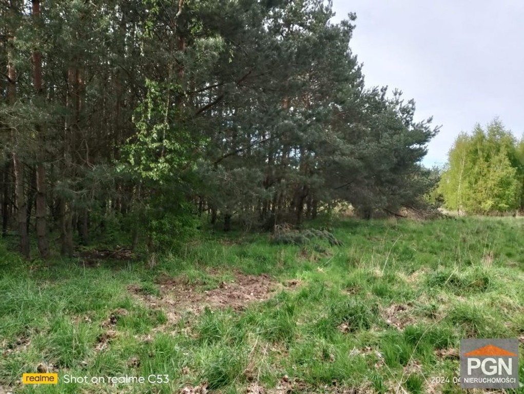 Przyrodniczy Raj: Działka 4490 m² w Malowniczej Oko – pohled 6