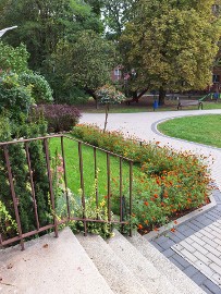 Top lokalizacja Stary Żoliborz